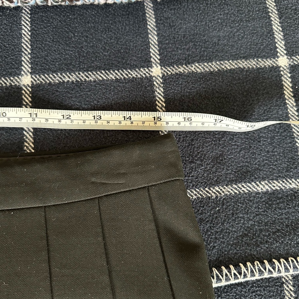Aritzia Didi Babaton Black Pleated Skirt - Picture 11 of 12